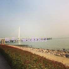 ˲